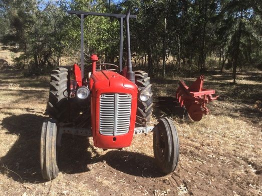 M F 35 Tractor &amp; Slasher &amp; Mouldboard Plough for sale Boonah Qld