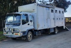 Isuzu 5 Horse Truck for sale Grafton NSW 