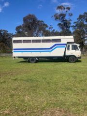 International 1987 N1630 6 Horse Truck for sale Pheasants Nest NSW