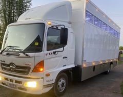 FD Hino 6 Horse Truck for sale Ballina NSW
