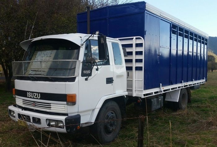 1994 Isuzu 650 5/6 Horse Truck Horse Transport for sale Batlow NSW