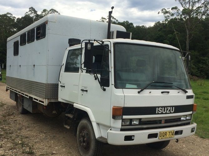 Isuzu Family 4 horse truck Horse Transport for sale Bulahdelah NSW