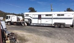 Isuzu Truck &amp; 4 Horse Gooseneck Horse Transport for sale Tas Penquin