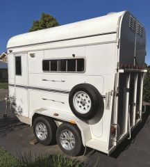 Olympic 2 Horse Straight Load Float for sale Newcastle NSW