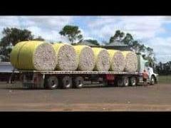 2 Cotton Trailers O&#039;Phee &amp; Lusty For Sale Darling Downs Qld