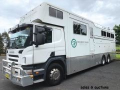 Scania 5-6 Horse truck Horse Transport for sale Central Coast NSW