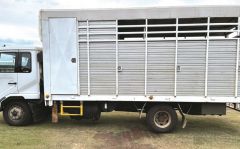 19981998 Nissan UD 185 6 horse truck for sale Toowoomba Qld