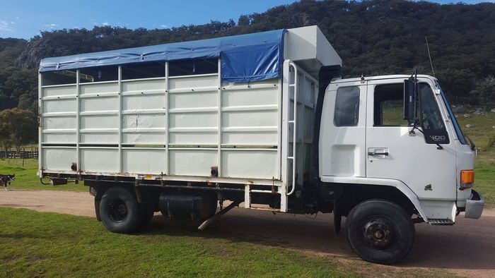 Isuzu 7 Horse Truck for sale Tenterfield NSW