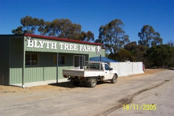 Tree farm Business for sale Katanning WA