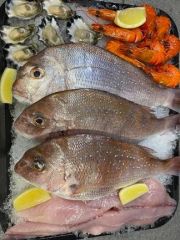 Busy Seafood Outlet &amp; Takeaway Business for sale Bermagui NSW