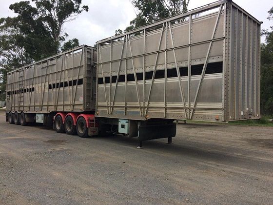 Shanks Livestock Cattle Crate Trailer for sale Rutherford NSW