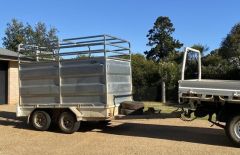 Removeable Livestock Crate Trailer for sale Toowoomba Qld