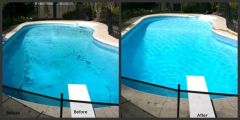 Independent Mobile Pool Service Business For Sale Murwillumbah NSW