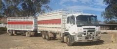 Nissan UD 206 Cattle Truck &amp; Crate &amp; Dog Trailer for sale Bushley Qld