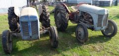 2 x Ferguson TEA20 Vintage  Tractors for sale Naracoorte SA