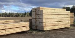 Well Established Pine Sawmill Business For Sale Leeville NSW