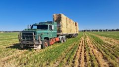 International S-Line Prime Mover Truck for sale Gilgandra NSW