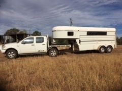  Bueno 3 Horse Gooseneck Horse Transport for sale Qld Clermont