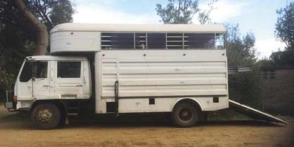 Mitsubishi Dual Cab 6 Horse Truck for sale Vic Flemington