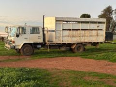 1986 Isuzu dual cab FTR 6 Horse Truck for sale Parkes NSW 