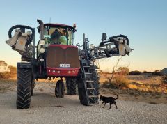 2017 Hardi Saritor Sprayer for sale Telopea Downs Vic 