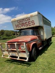 1969 4 Horse Dodge Truck for sale Geelong Vic