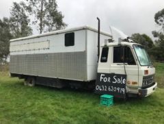 Horse Transport for sale Yea Vic 1986 International N1630 5 Horse Truck 
