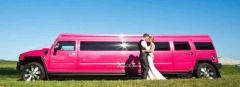 Stretch Limousine Business for sale NSW Hunter Valley