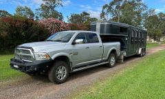 2017 Calico Drover 4HAL float &amp; Dodge Ram Ute for sale Willow Tree NSW