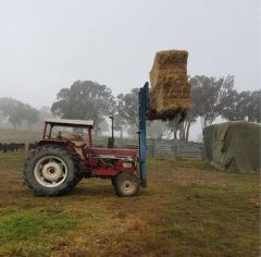 1990 International 784 tractor with forklift for sale Cudal NSW