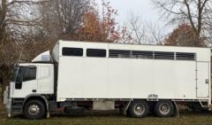2001 Iveco Euro Cargo 170E27 10/12 Horse Truck for sale Albury NSW
