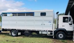 2000 Man 15-223 5/6 Horse Truck for sale Helidon Qld