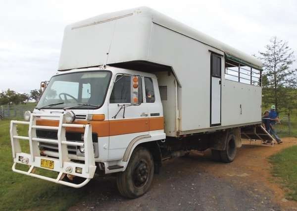 1982 Isuzu 5 Horse Truck for sale Manilla NSW
