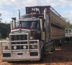 Truck for sale Mundubbera Qld Kenworth Prime Mover &amp; Stock Crates
