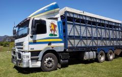 Newly refurbished DAF CF85 Cattle truck for sale Newham Vic
