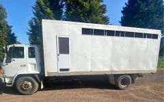 Isuzu 6 Horse Truck for sale Beveridge Vic 